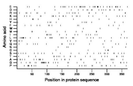 amino acid map