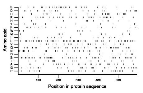 amino acid map