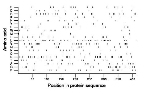 amino acid map