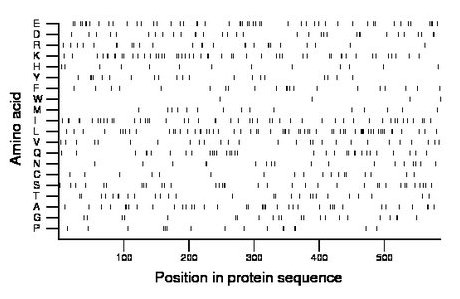 amino acid map