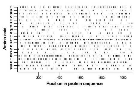 amino acid map