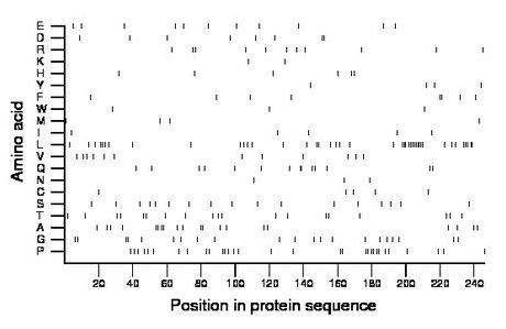 amino acid map