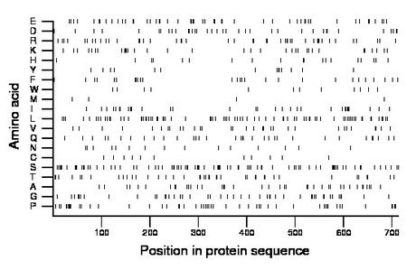 amino acid map