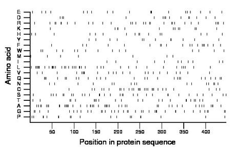 amino acid map