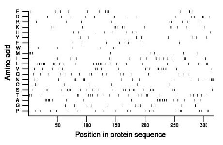 amino acid map