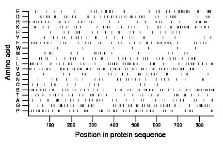 amino acid map