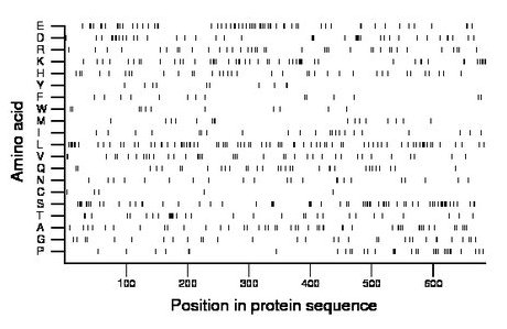 amino acid map