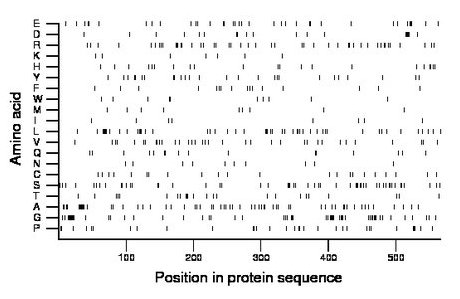 amino acid map