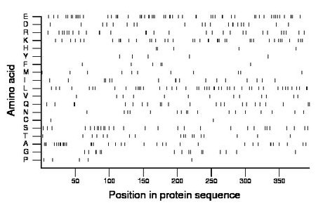 amino acid map