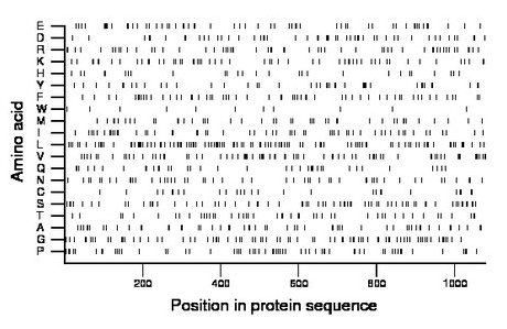 amino acid map