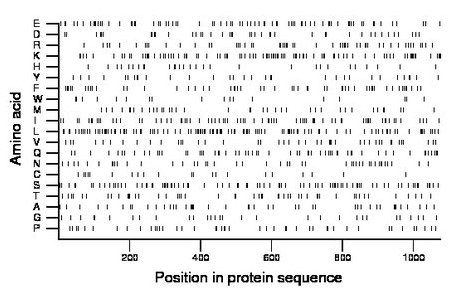 amino acid map