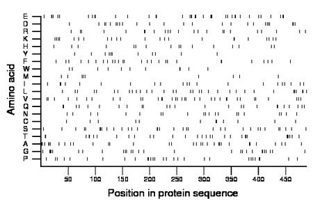 amino acid map