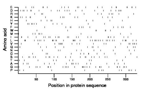 amino acid map