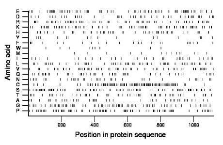 amino acid map