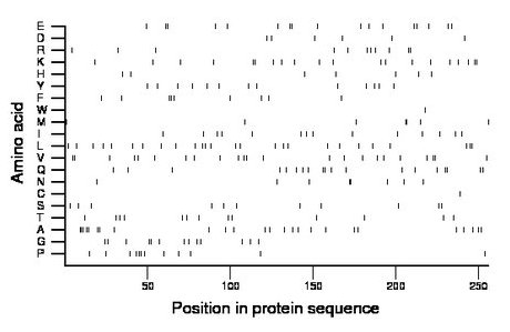 amino acid map