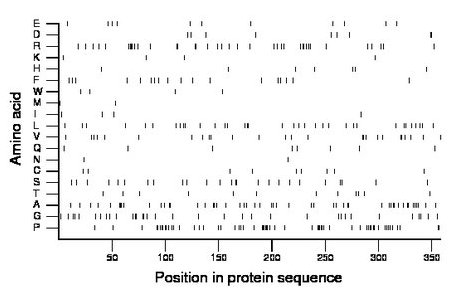 amino acid map