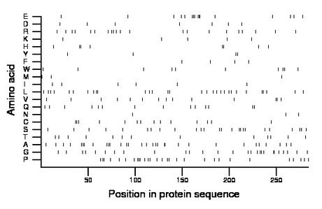 amino acid map