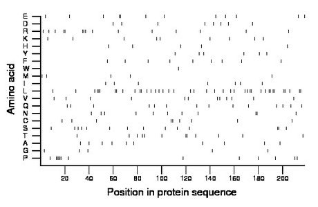 amino acid map