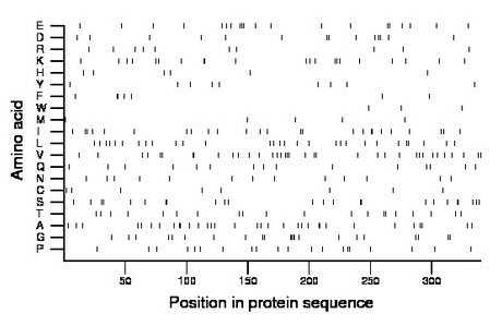 amino acid map