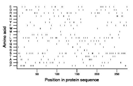 amino acid map