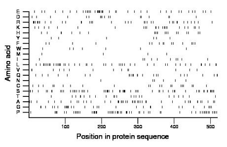 amino acid map