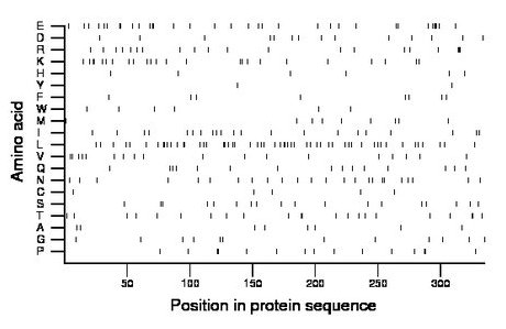 amino acid map