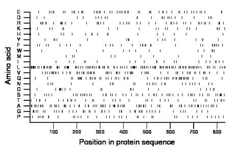 amino acid map