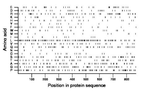 amino acid map