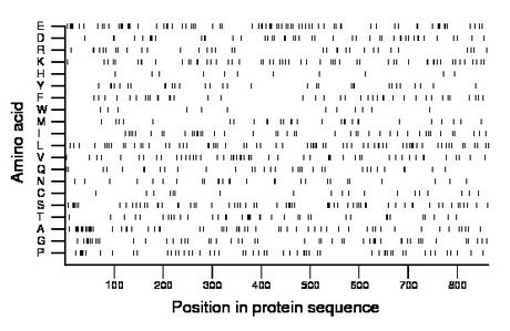 amino acid map