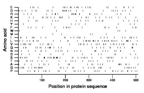 amino acid map