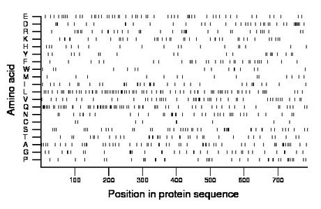 amino acid map