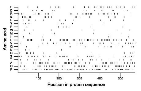 amino acid map