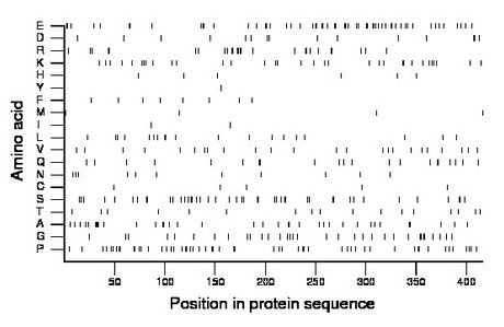 amino acid map