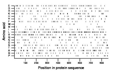 amino acid map