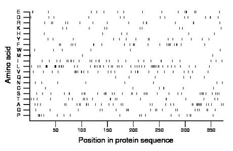 amino acid map