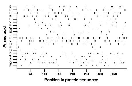 amino acid map