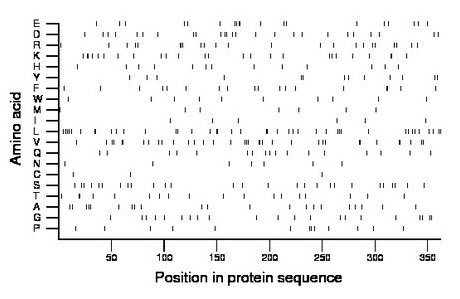 amino acid map