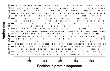 amino acid map