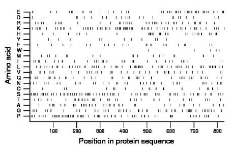 amino acid map