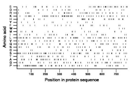 amino acid map