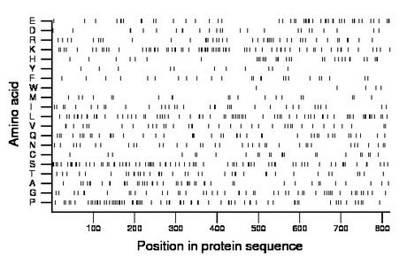 amino acid map