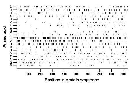 amino acid map