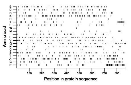 amino acid map