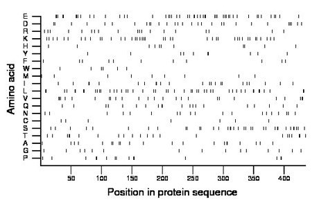 amino acid map