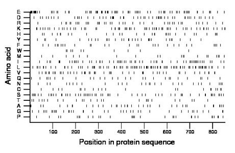 amino acid map