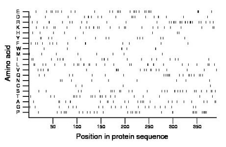 amino acid map