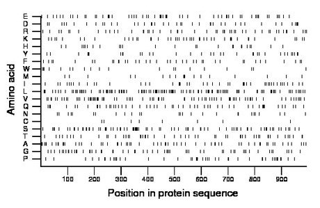 amino acid map