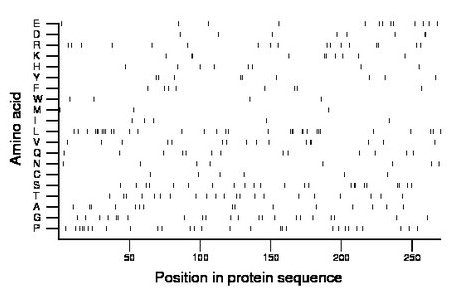 amino acid map