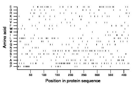 amino acid map