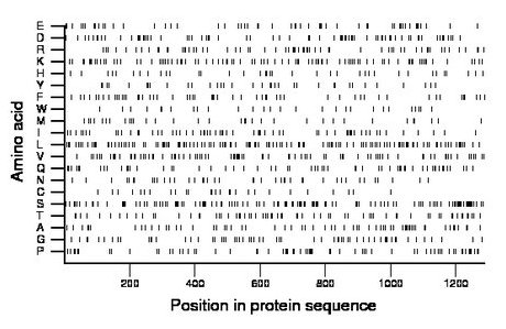 amino acid map